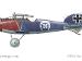 Albatros D.V, 'Horseshoe & Clover', Jasta 18, 1917-18. Revised October 2011 due to new information received